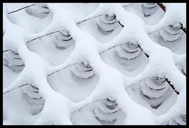 Buried in the Snow