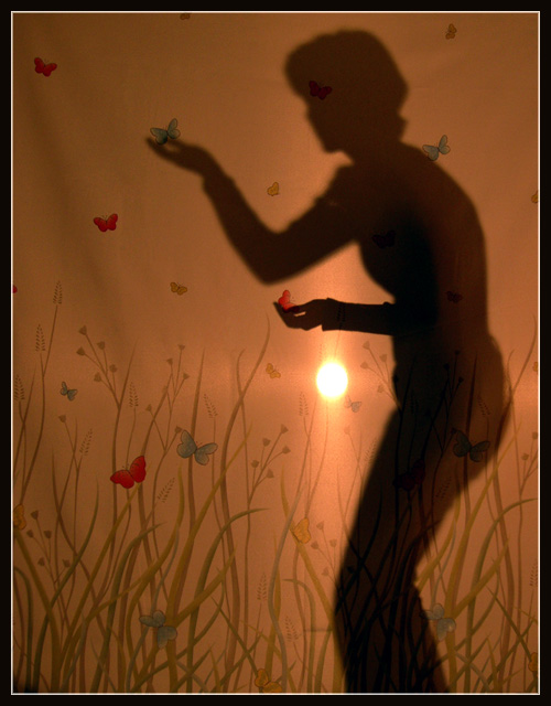 Butterfly Catcher