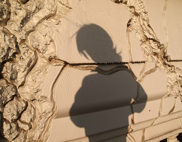 Groundhog Day Shadow