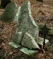 Long Forgotten