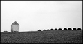 Country Horizon
