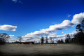 Cold Day in a Southern Pasture