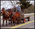 Taking the Boys for a Spin