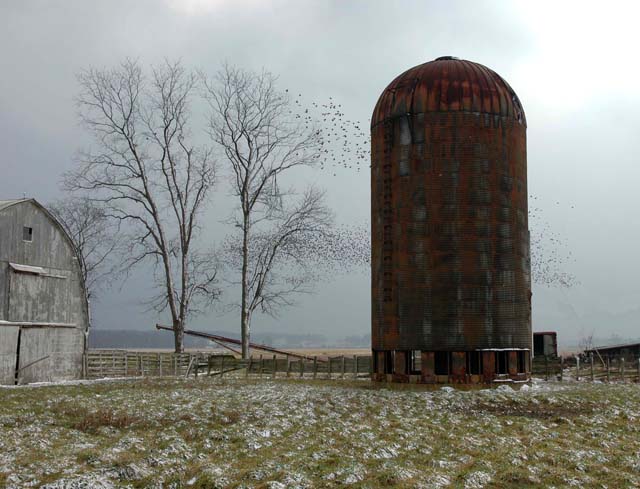 Silo in Winter