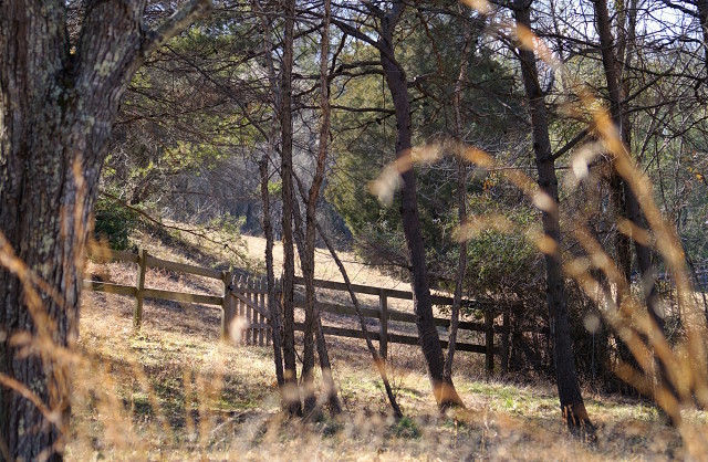 Neighborly Fences