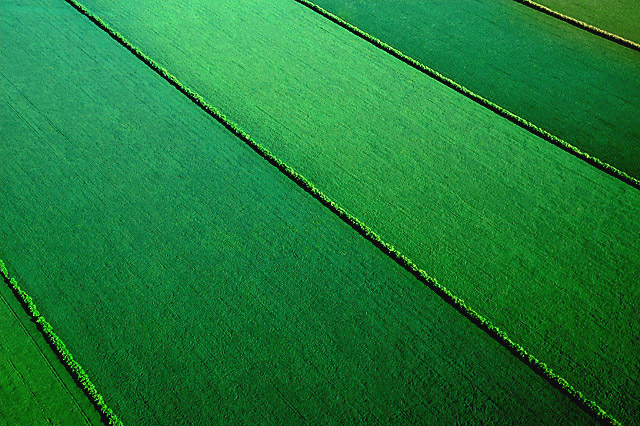 Farmer as Artist--A Crop Dusters View of Soy