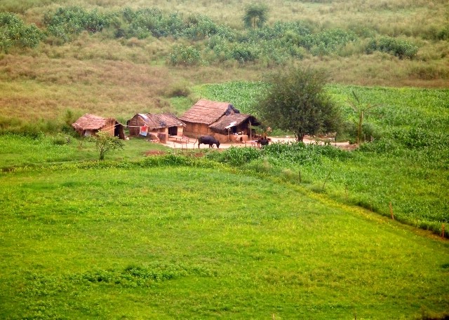 Mera Pind. Mere Khet. (My Village. My Farms)