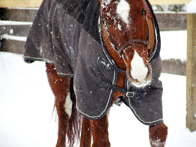 snow play