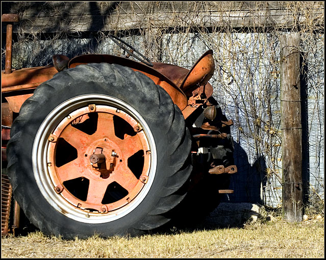 Waiting for Spring