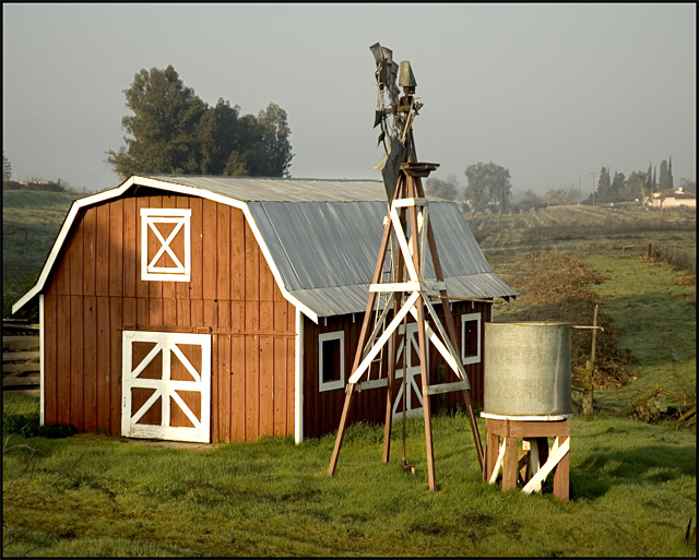 Morning on the Farm