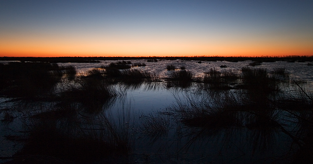 Life in the Bayou