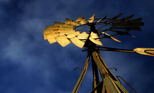 Rusted Bloom