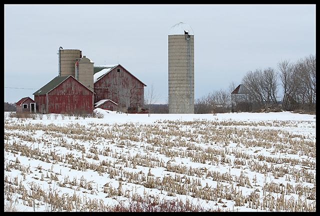 No Crops until Spring