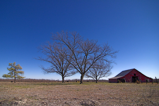 Wide Open Spaces