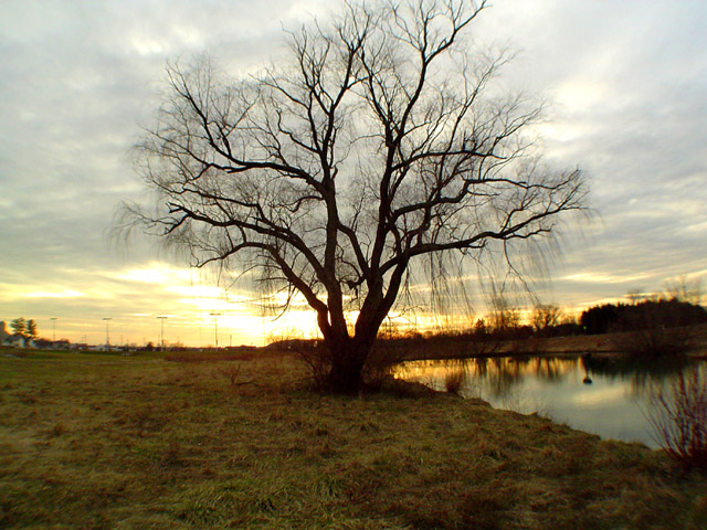 a winters sunset