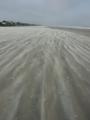 Sand Flow: Strom Coming in Creating a Sand Mist