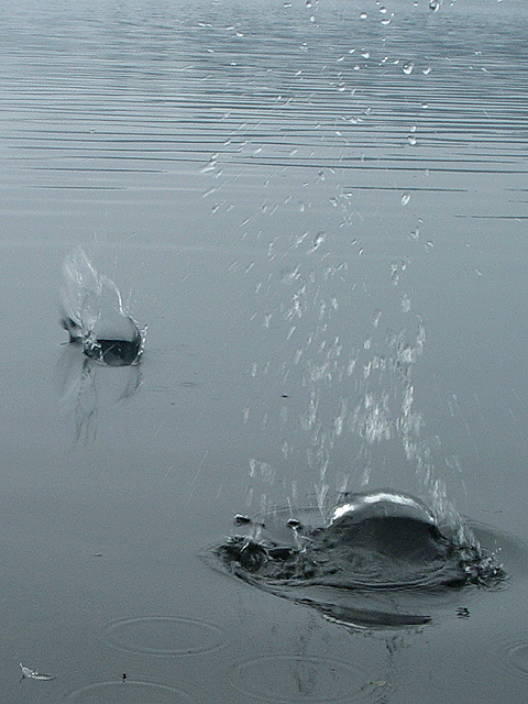 Skipping Stones