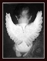 ~An Angel among us~
