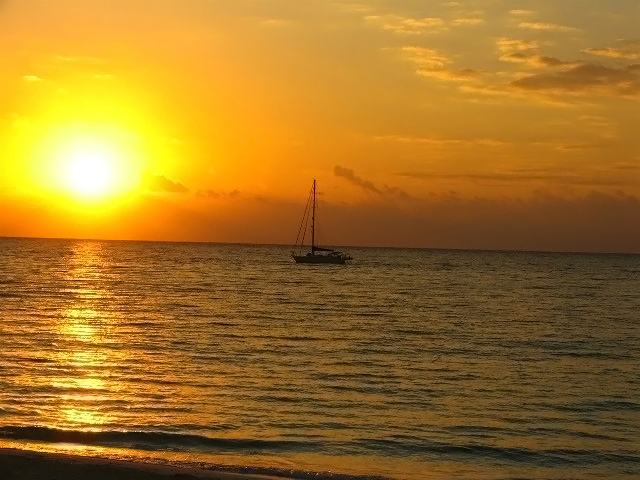 Hope-  A New Day Dawns