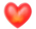 ~HEART~