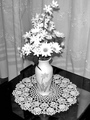 Artificial beauty