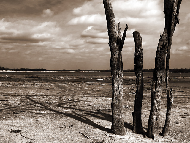 ...Parched...