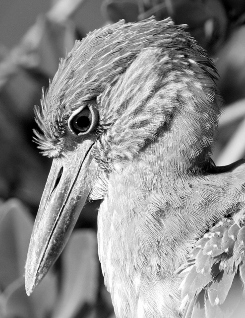 Contemplation