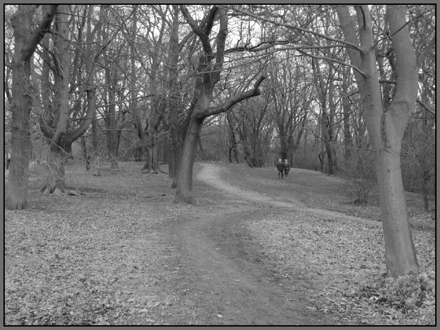 Strolling in the park