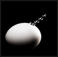 Didn\'t expect this from your egg, did you?