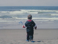 Ocean Of Dreams