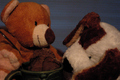 Content Teddy