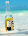 Beautiful Ocean and A Beer = Comfort