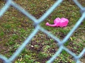 my comfort - good fences keep the pink elephants away on sunday morning