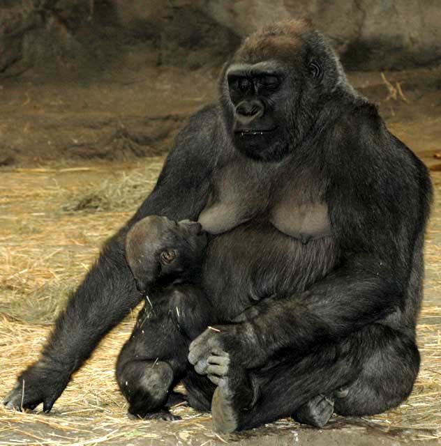 Mom