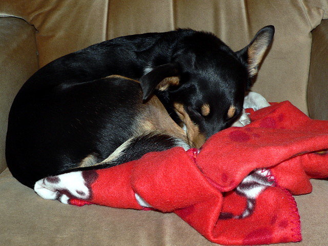Snug in a rug