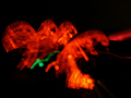 Dancing Speed