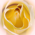 A Secret Unfolds