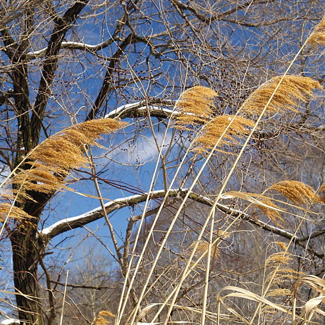 Winter Winds Not Letting Up