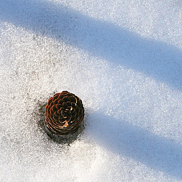 The Cone of Silence