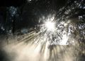 into the light