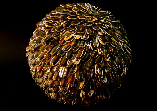 Tons of Seeds