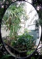 Window?...or...Mirror?