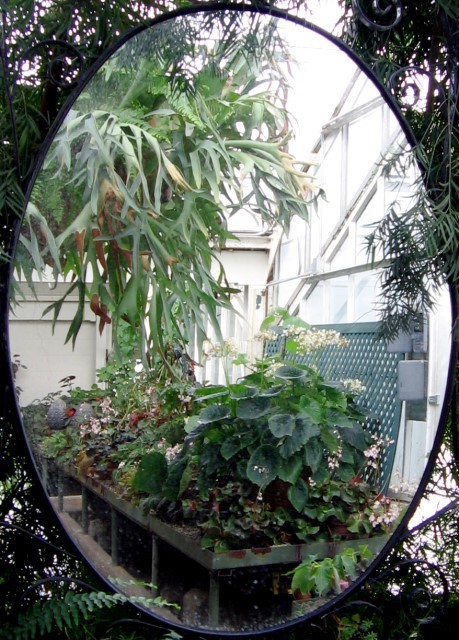 Window?...or...Mirror?