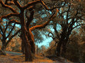 Sleepy Hollow