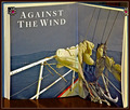 Against The Wind