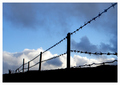When Life Is A Barbed Wire Fence, by Greg Winston