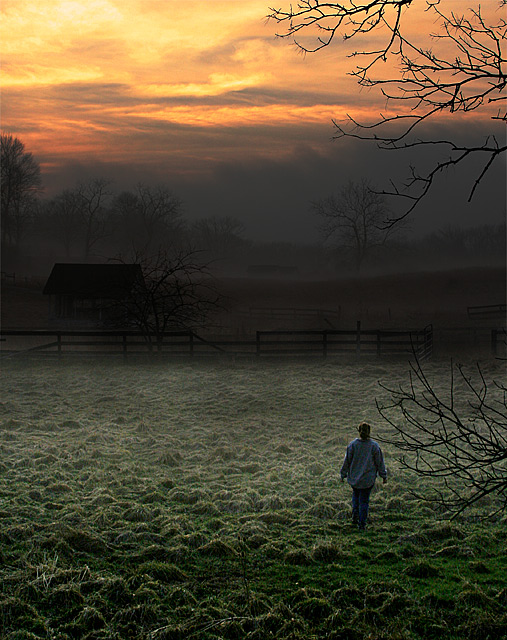 "I wandered lonely as a cloud" -Wordsworth