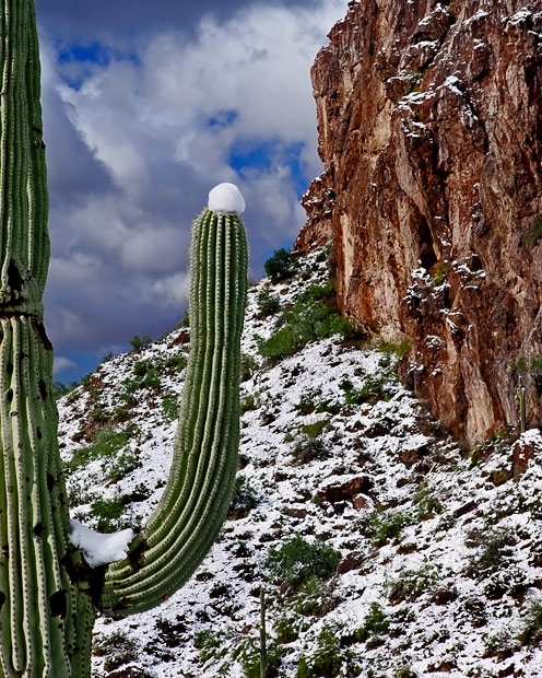 "Snow in the Desert" -  Andrew Soutar
