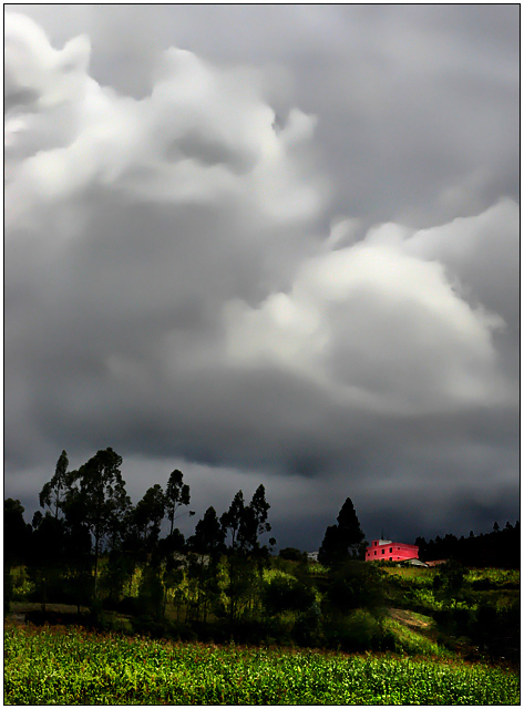 "The Pink House"