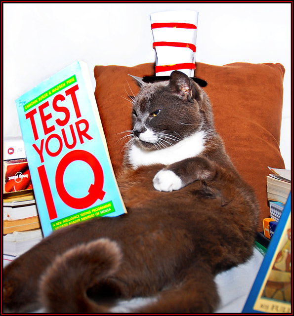 Dr Susses's "The Cat in the Hat ",  keeps his mind active.